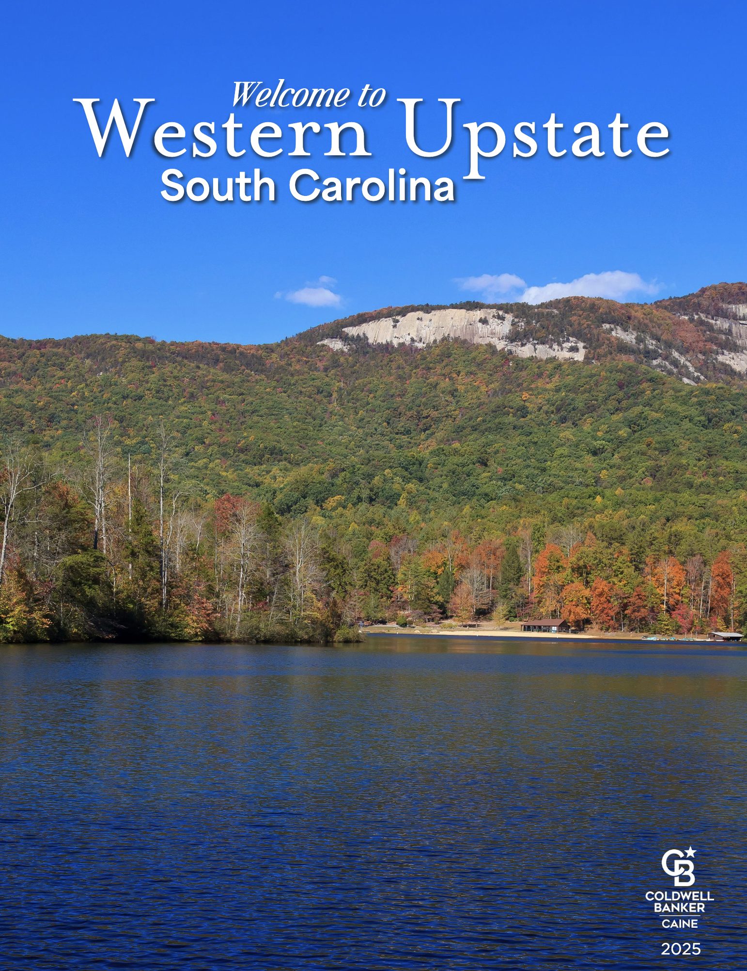 Screenshot 2026-03-03 at 3.31.14 PM